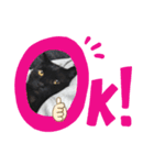黒猫のレオくん♡（個別スタンプ：2）