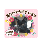 黒猫のレオくん♡（個別スタンプ：6）