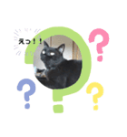 黒猫のレオくん♡（個別スタンプ：7）