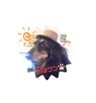 ガオガオU´•ﻌ•`Uスタンプ（個別スタンプ：2）