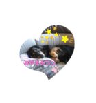 ガオガオU´•ﻌ•`Uスタンプ（個別スタンプ：3）