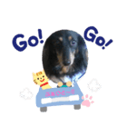ガオガオU´•ﻌ•`Uスタンプ（個別スタンプ：8）