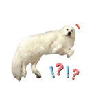 キャスたんぷ（個別スタンプ：4）