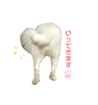 キャスたんぷ（個別スタンプ：9）