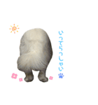 キャスたんぷ（個別スタンプ：10）