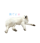 キャスたんぷ（個別スタンプ：34）