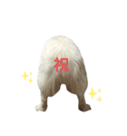 キャスたんぷ（個別スタンプ：38）