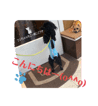 吉右衛門でごじゃるよー（個別スタンプ：5）
