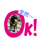 吉右衛門でごじゃるよー（個別スタンプ：7）