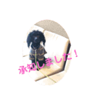 吉右衛門でごじゃるよー（個別スタンプ：8）