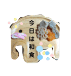 伊田家集合2（個別スタンプ：3）