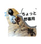 伊田家集合2（個別スタンプ：7）