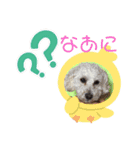 小太郎の1日パート2（個別スタンプ：1）