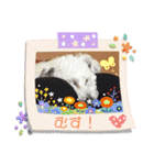 小太郎の1日パート2（個別スタンプ：7）