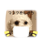 小太郎の1日パート2（個別スタンプ：10）