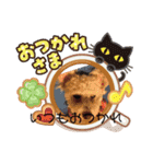 小太郎の1日パート2（個別スタンプ：14）