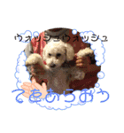 小太郎の1日パート2（個別スタンプ：16）