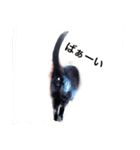 可愛いおはぎ（個別スタンプ：1）