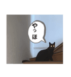 可愛いおはぎ（個別スタンプ：6）
