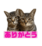 てんちゃお★（個別スタンプ：3）
