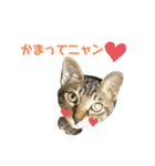 てんちゃお★（個別スタンプ：14）