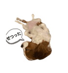 マンチェのスタンプ（個別スタンプ：7）