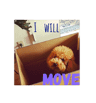 犬的生活（個別スタンプ：4）