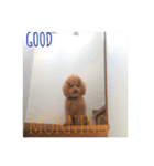 犬的生活（個別スタンプ：8）