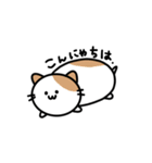 ダラダラつちねこ（個別スタンプ：1）