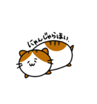 ダラダラつちねこ（個別スタンプ：4）