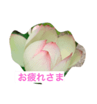花のスタンプ617（個別スタンプ：3）