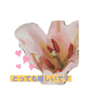 花のスタンプ617（個別スタンプ：8）