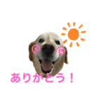 ばうスタンプ♡♡（個別スタンプ：8）
