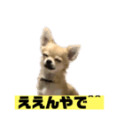 ゆにスタンプ宇宙編（個別スタンプ：1）