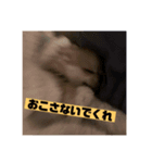 ゆにスタンプ宇宙編（個別スタンプ：4）