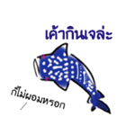 If marine life can talk to divers (TH)（個別スタンプ：31）