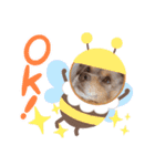 わんこスタンプ 3（個別スタンプ：3）