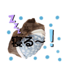 わんこスタンプ 3（個別スタンプ：8）