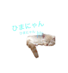 しょこらくんスタンプ（個別スタンプ：4）