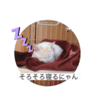 しょこらくんスタンプ（個別スタンプ：8）