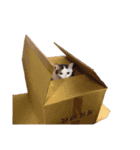 もふもふの子供達（個別スタンプ：12）