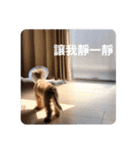 もふもふの子供達（個別スタンプ：16）