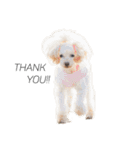 Moco ＆ Roox（個別スタンプ：6）
