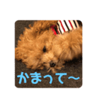 ぷてぃ♡1015（個別スタンプ：3）