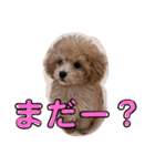 ぷてぃ♡1015（個別スタンプ：4）
