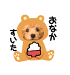 ぷてぃ♡1015（個別スタンプ：12）