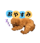 ぷてぃ♡1015（個別スタンプ：17）