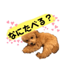 ぷてぃ♡1015（個別スタンプ：18）