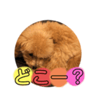 ぷてぃ♡1015（個別スタンプ：23）