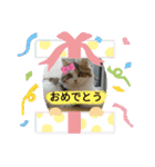 美少女ねねちゃん（個別スタンプ：13）
